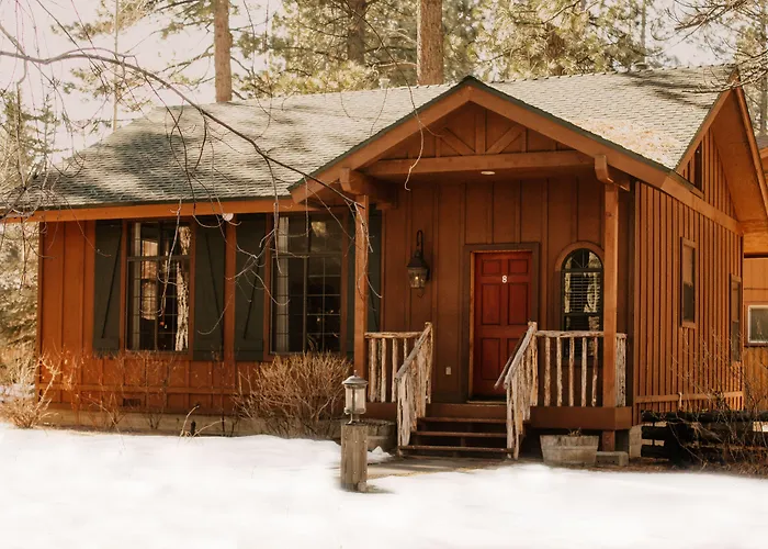 Black Bear Lodge